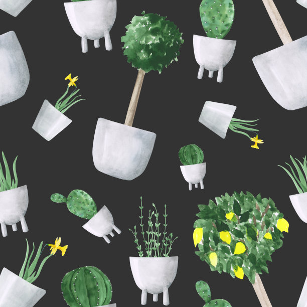 柠檬树、仙人掌、水仙、盆景一望无际。水彩盆栽植物无缝模式上的黑色背景。手绘的家中花在花盆里无尽的打印。房子植物插图。图片下载