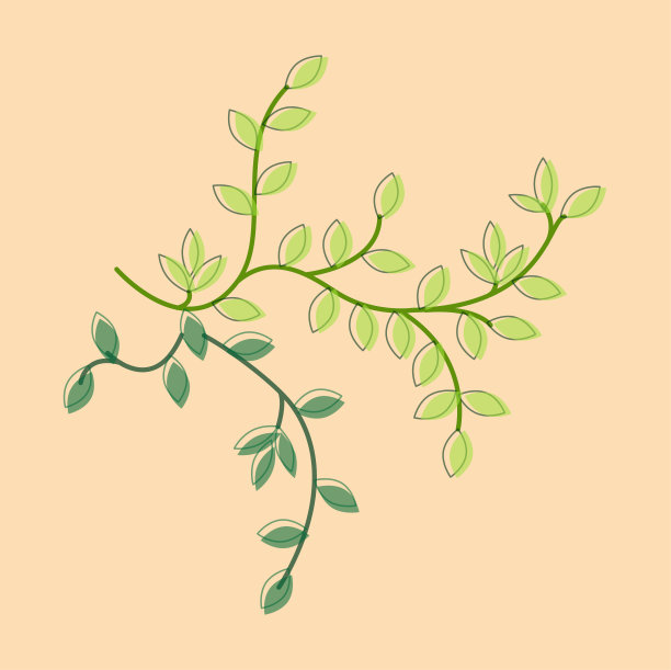 矢量插图树枝与树叶。有绿色叶子的斑纹。图片下载