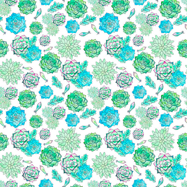 无缝模式的肉质和植物部分，绘制绿色月桂叶在白色的背景图片下载