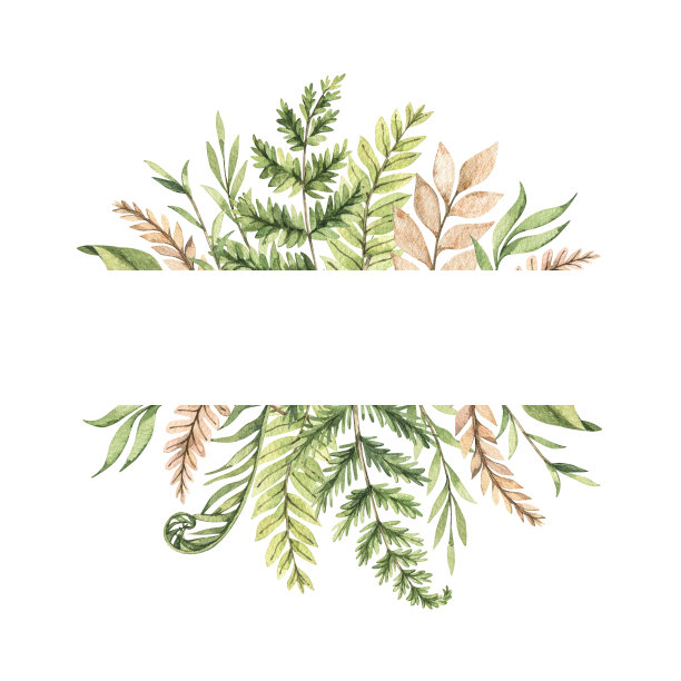 植物水彩画框架与绿色的叶子，蕨类，草本和树枝。水彩插图。花卉邀请设计。完美的婚礼邀请函，贺卡，博客，海报，图片下载