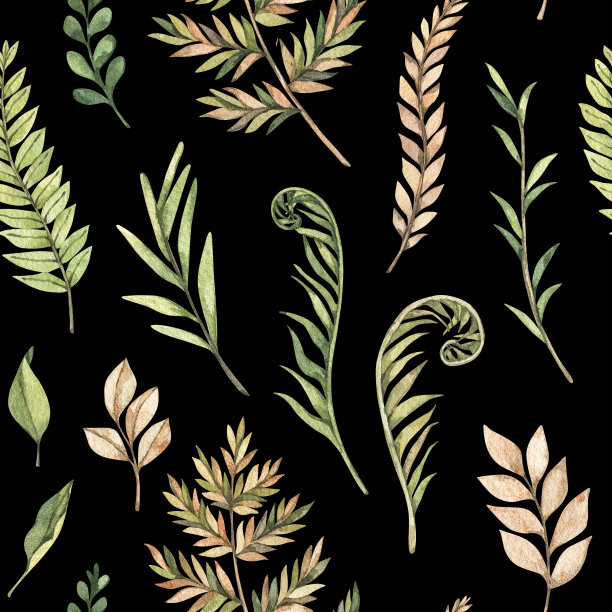 绿色植物水彩无缝图案。植物黑色背景与绿色的枝，叶和蕨类植物插图。花卉设计。完美的邀请，包装纸，纺织品，织物，包装图片下载