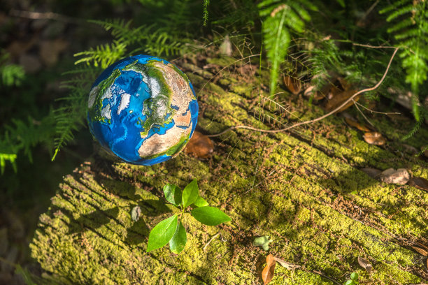 自然的呼吸图片下载