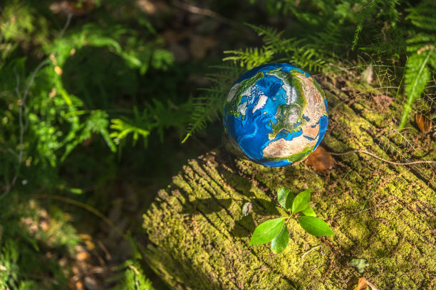 自然的呼吸图片下载