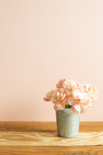 木桌上放着一只粉红色康乃馨花瓶图片下载