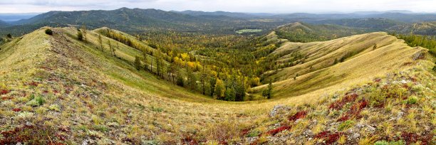 金色的秋天图片下载