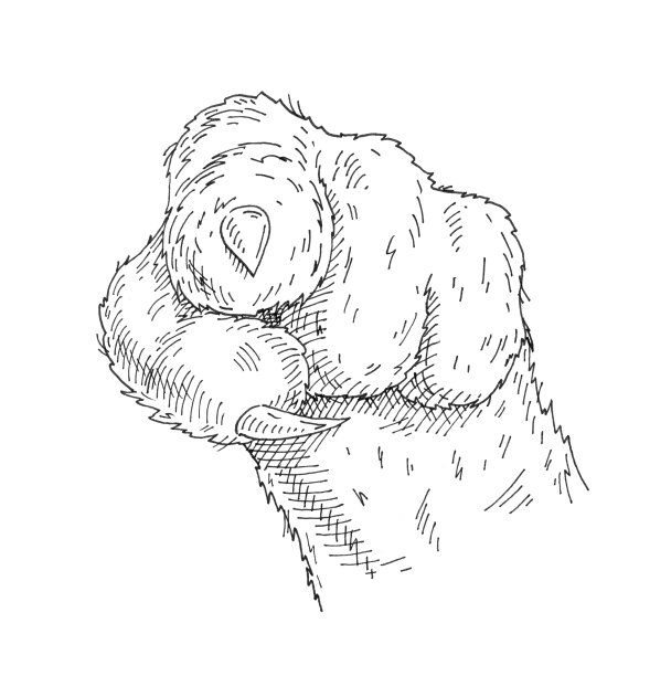 猫爪秀指向观众，从前面。老式黑白孵化图片下载