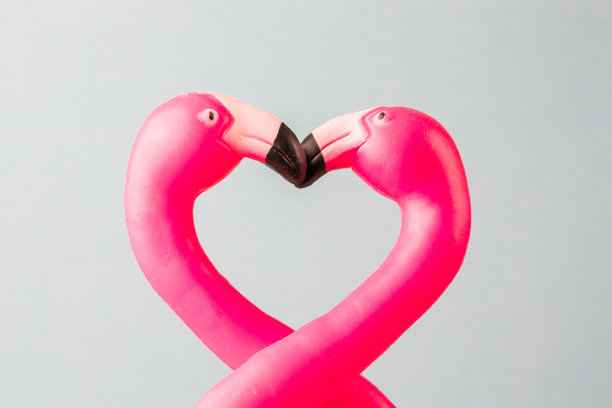 两个粉红色的火烈鸟玩具组成一个心形图片下载