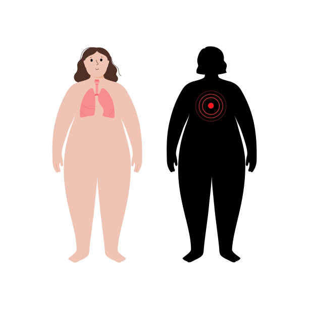 肥胖人体的器官图片下载