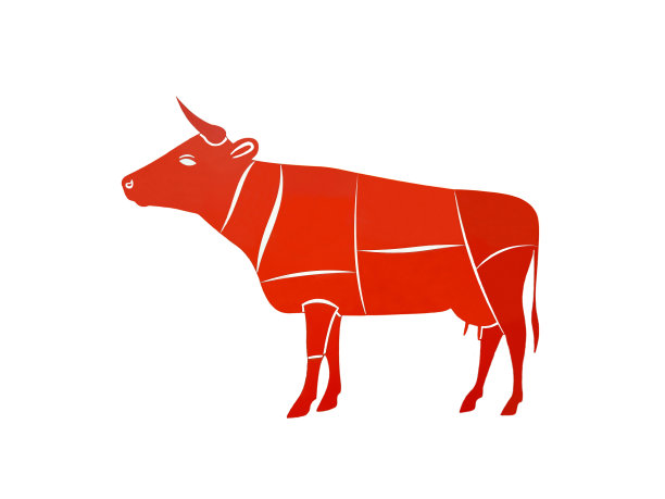 为广告宣传肉或牛奶而画的牛的插图，牛按身体部位划分，以在白色背景上题字。图片下载