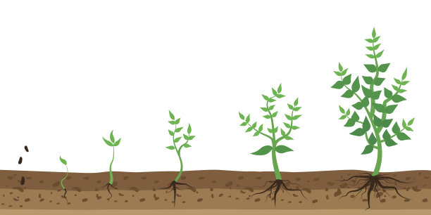 灌木生长在扁平风格。股票的形象。每股收益10。图片下载