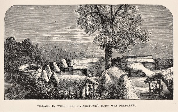 19世纪非洲，利文斯顿博士的心脏被埋在赞比亚村图片下载