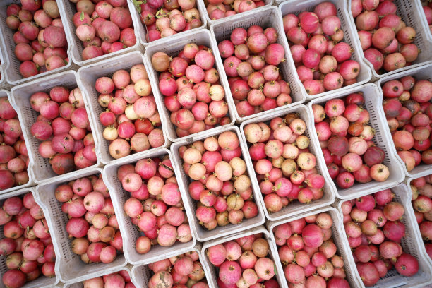 新鲜采摘的石榴水果盒，俯视图。图片下载