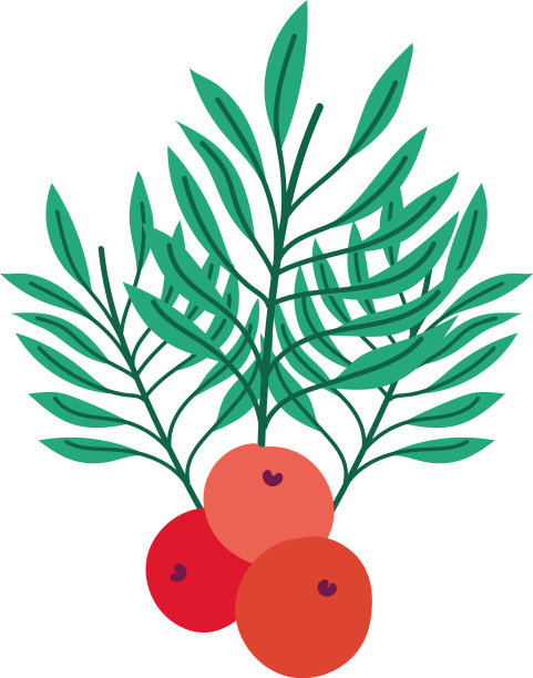 圣诞快乐，冬青莓枝叶图片下载