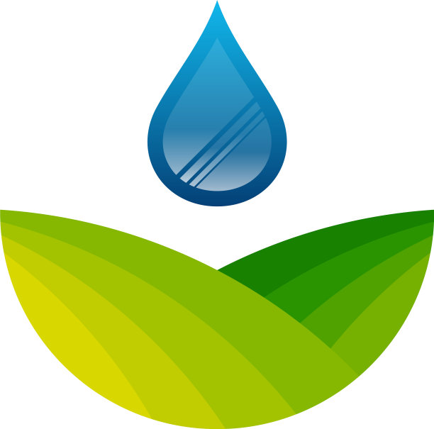 大自然是树叶和水滴的象征图片下载