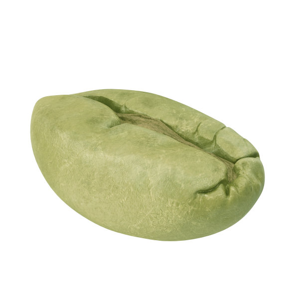 未经焙烧的咖啡豆。三维演示图片下载