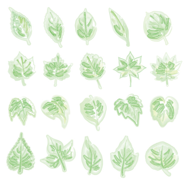 一套水彩风格的叶子插图图片下载