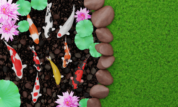 户外的日本锦鲤池，或花式鲤鱼，有鱼一起游泳。鲜绿的草坪，鱼塘边有黑色的岩石。草坪和室外鱼塘。3 d渲染。图片下载