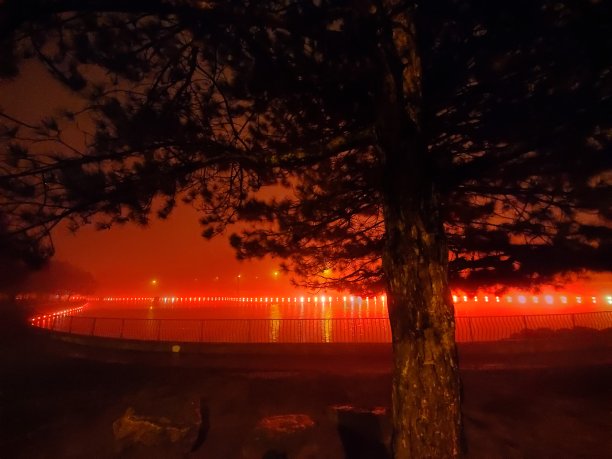 令人毛骨悚然的红色照明池塘在夜晚图片下载