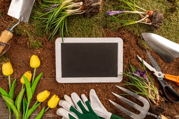 黑板上的一个园艺概念背景图片下载