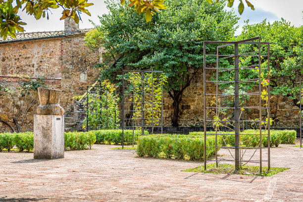 在意大利托斯卡纳的一个历史小镇小镇里，夏天的时候没有人在广场上，石头建筑和玫瑰花园图片下载