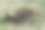 公园遭受风暴破坏图片下载