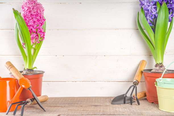 春园艺背景图片下载