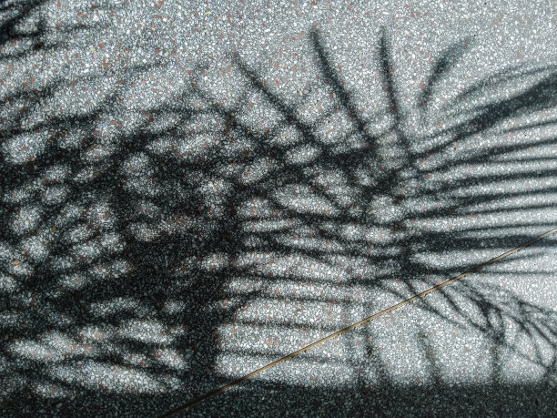 地板上棕榈叶的影子。轮廓和阴影。图片下载