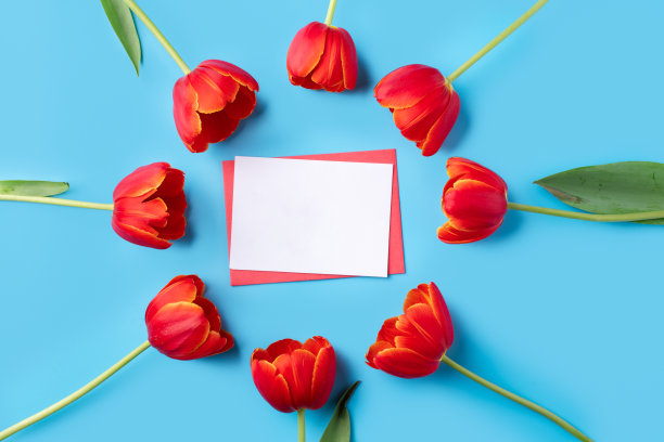 以鲜亮的蓝色桌子为背景，搭配红色郁金香花束的母亲节节日问候礼物的设计理念图片下载