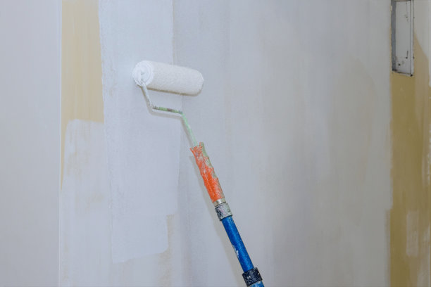 在房子里用底漆把墙壁粉刷成白色图片下载