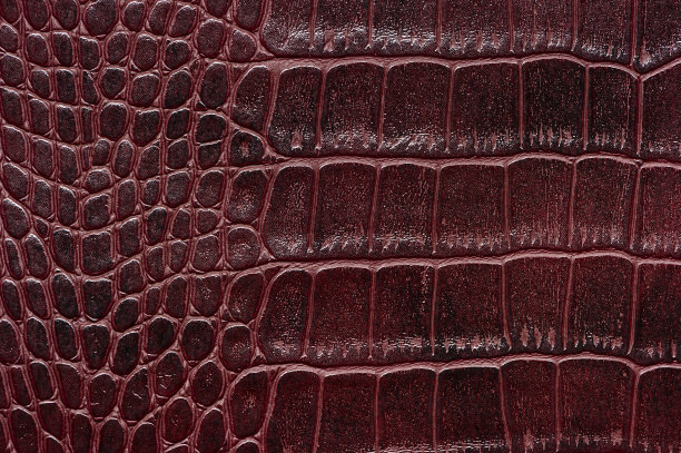 鳄鱼皮的背景图片下载