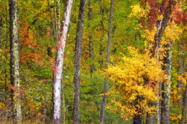 深深隐藏在绿色森林中的秋色印象派艺术作品图片下载