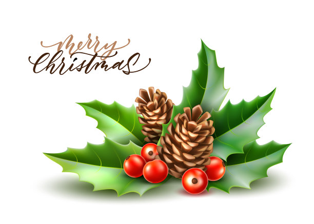 现实的圣诞快乐冬青树叶冷杉图片下载
