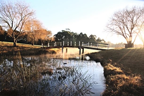 清晨的公园图片下载