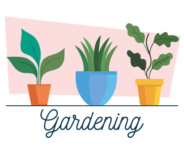 花盆内盆栽设计图片下载