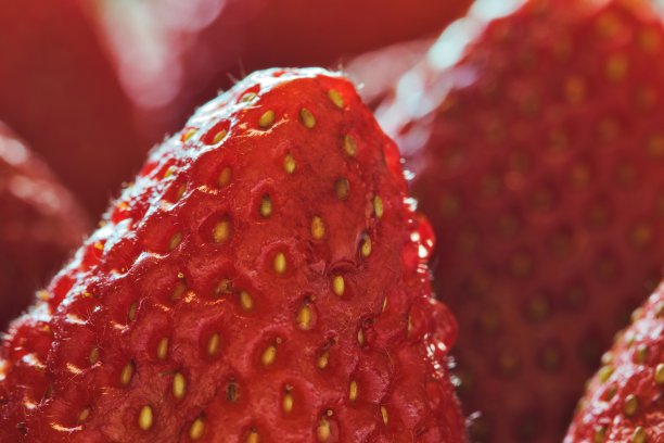 成熟的草莓宏观选择性聚焦和精细的细节。图片下载