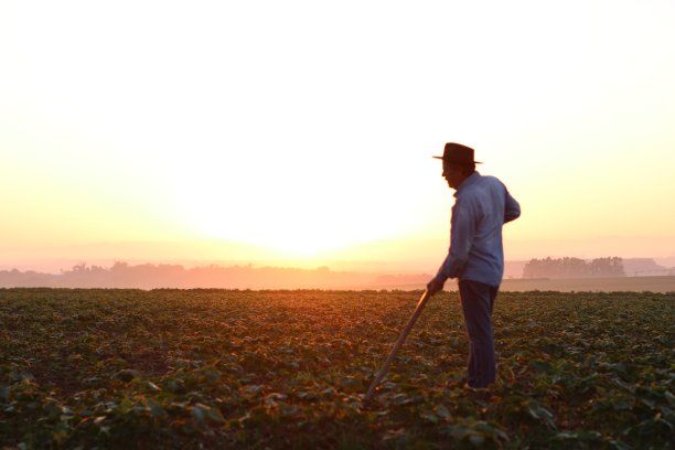 国家的人图片下载