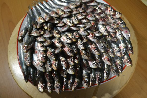 圆木盘子上放着成排的沙丁鱼。图片下载