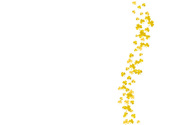 三叶草背景为圣帕特里克节。图片下载