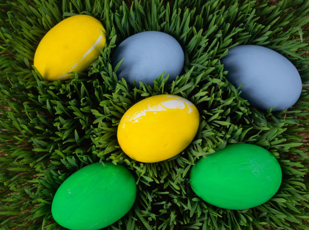 平在草地上生五颜六色的复活节彩蛋，绿色的草地上，五颜六色的彩蛋，复活节到了。副本的空间。图片下载