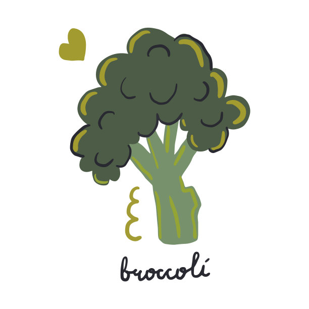 手绘花椰菜。现代平面插图。图片下载