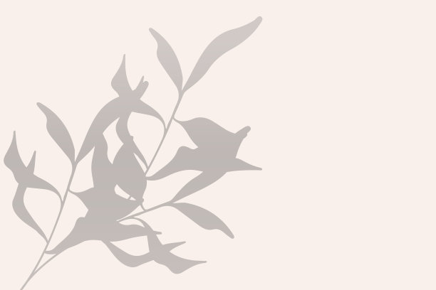 树叶的影子背景。叠加阴影的效果。矢量纹理背景，壁纸，自己设计图片下载