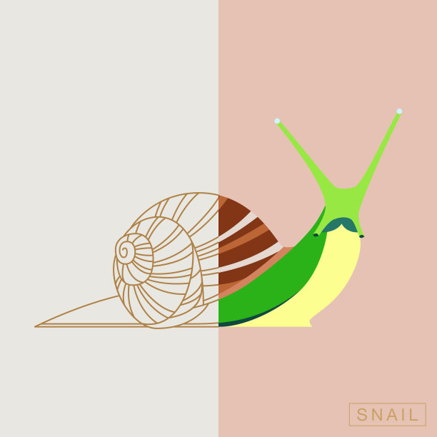 摘要昆虫插图图片下载