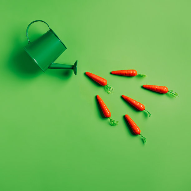 浇壶与溪流的胡萝卜落在充满活力的绿色背景图片下载