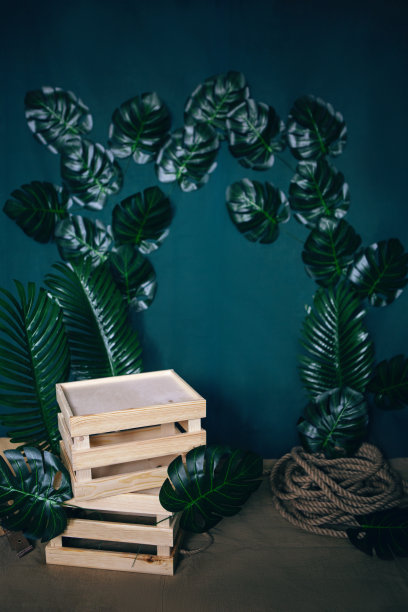 背景是绿叶木盒图片下载