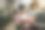年轻女子在家里用礼物给坐在轮椅上的男友一个惊喜。库存图片图片下载