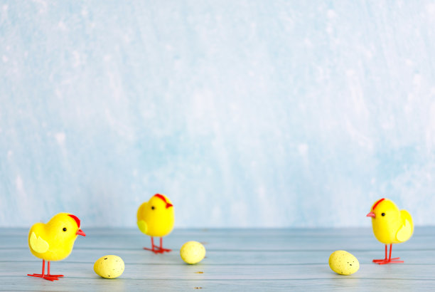 复活节背景与黄鸡。图片下载