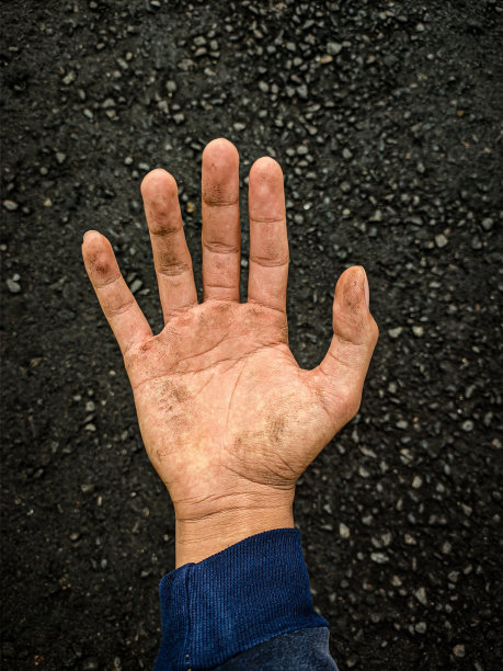 分发工作图片下载