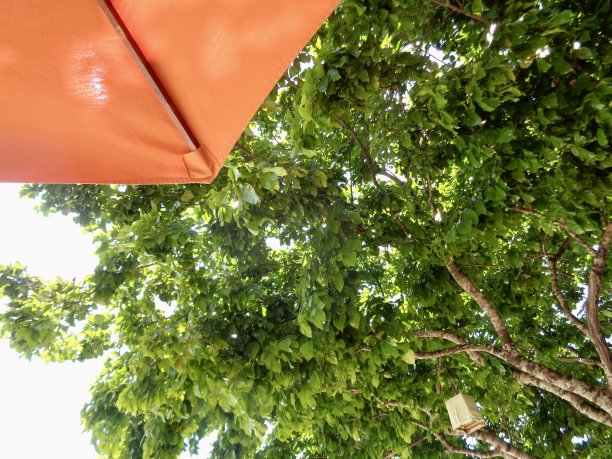 结合在泰国度假的照片:长尾船，人字拖，酒店和美妙的风景。图片下载