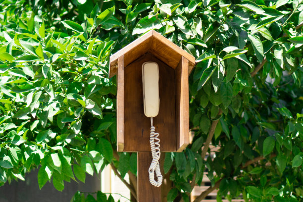 花园里废弃的木质电话亭。沟通无处不在。保持联系图片下载