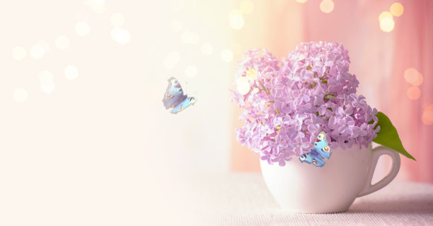 房间内饰以紫丁香花在茶几上和孔雀蝴蝶，温柔浪漫的春天家居装饰在柔和的晨光，装饰房子图片下载